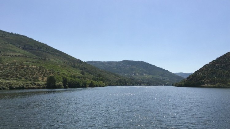 Harvest Cruise in the Douro - 2 Days